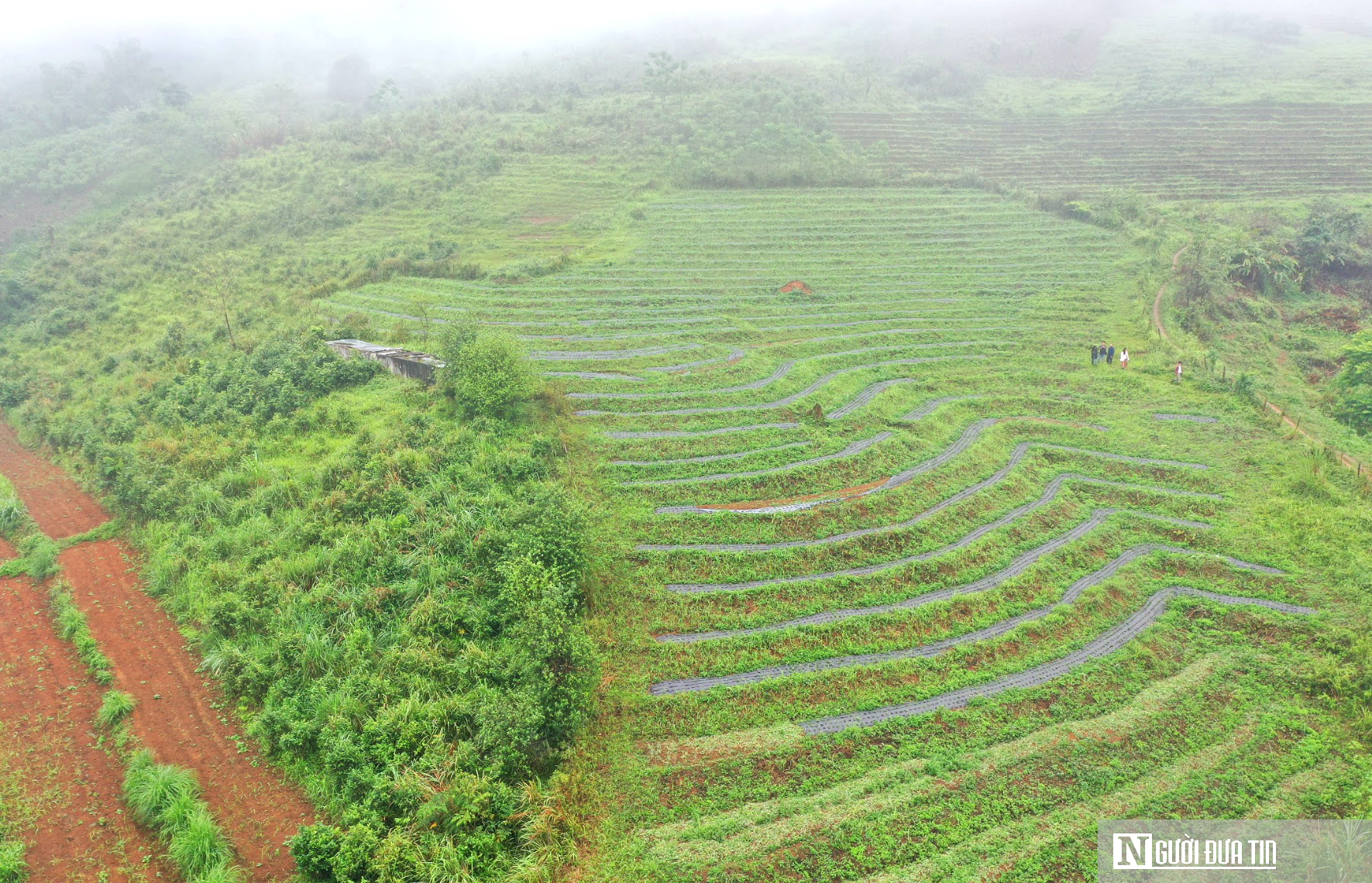 Hành trình xây dựng thương hiệu OCOP Nghệ An – Kỳ 1: Khai phá tiềm năng sản vật địa phương- Ảnh 4.