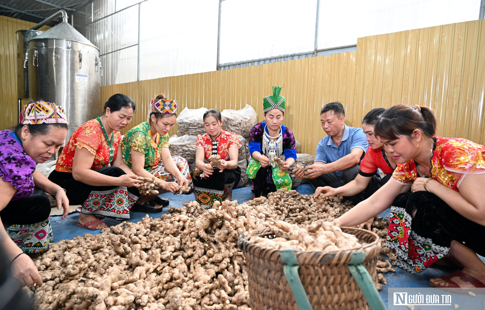 Hành trình xây dựng thương hiệu OCOP Nghệ An – Kỳ 1: Khai phá tiềm năng sản vật địa phương- Ảnh 5.