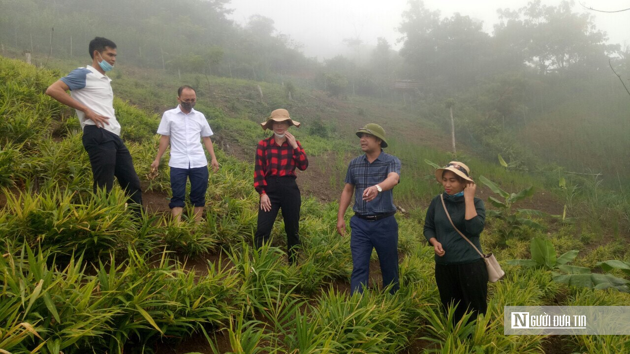 Hành trình xây dựng thương hiệu OCOP Nghệ An – Kỳ 3: Đưa “hương quê” vươn ra thế giới- Ảnh 1.