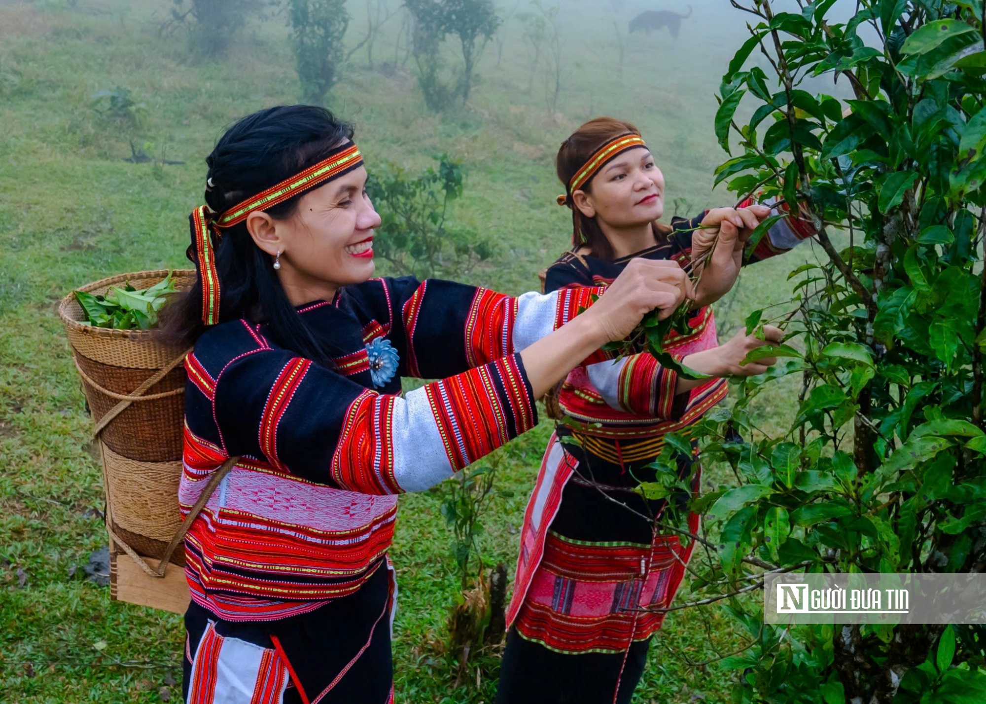 Các dân tộc đoàn kết, đổi mới sáng tạo, phát huy lợi thế, tiềm năng, hội nhập và phát triển bền vững- Ảnh 2.