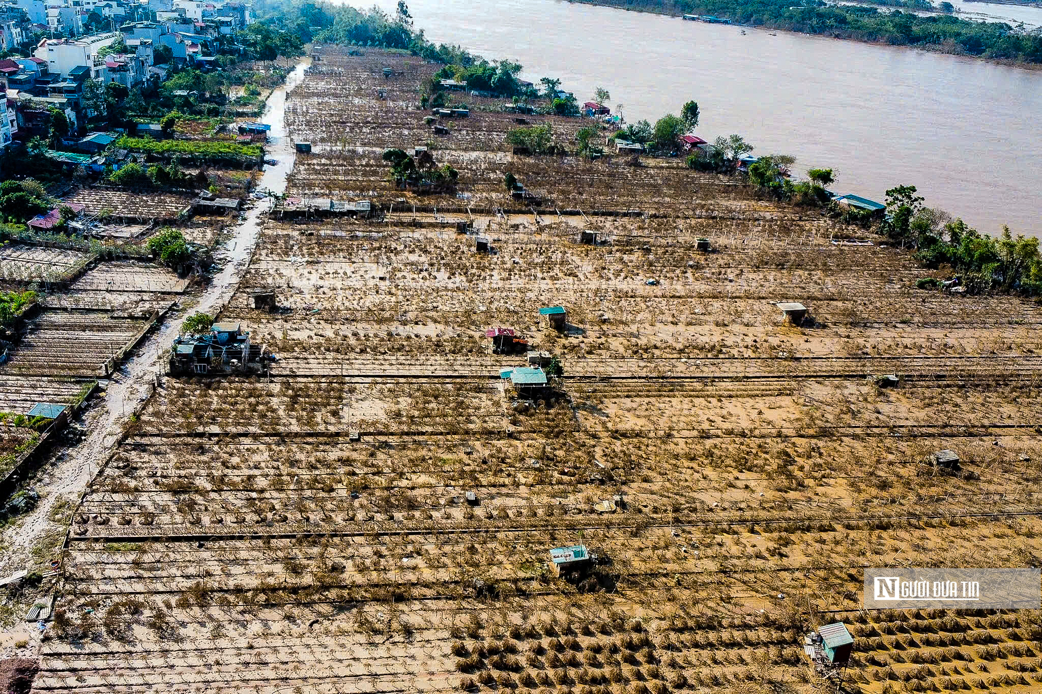 Hiện trạng khu vực ven sông Hồng sau hơn 3 tuần nước lũ đi qua- Ảnh 14.