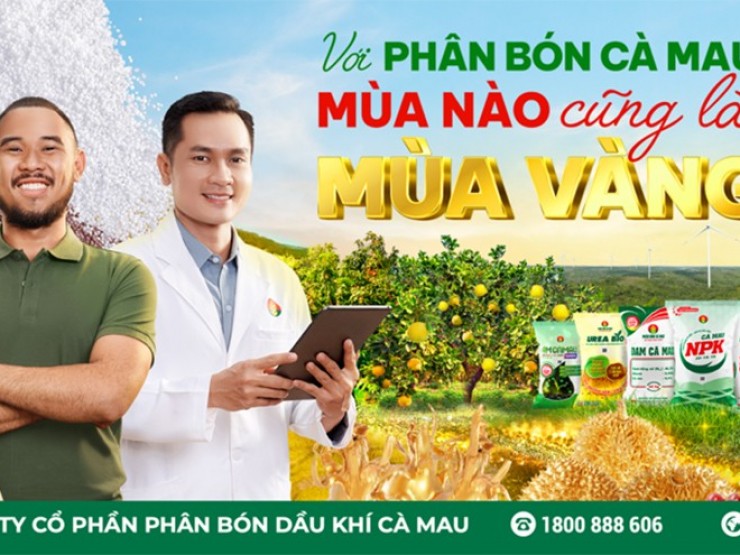 Với Phân Bón Cà Mau: Mùa nào cũng là mùa vàng