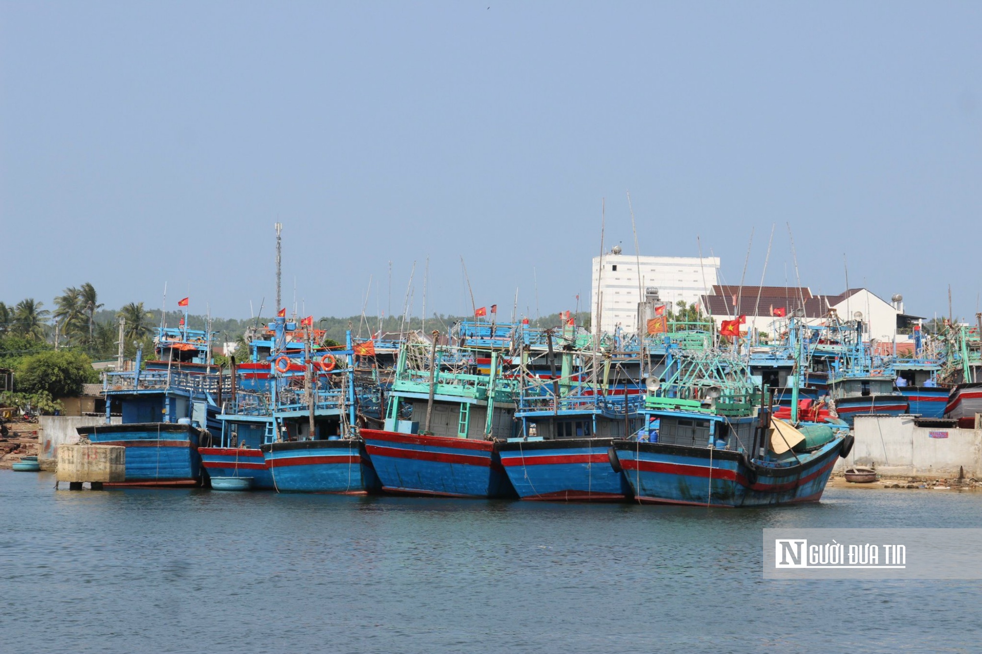 Khu neo đậu tránh trú bão tàu cá ở cảng cá Tam Quan, thị xã Hoài Nhơn,tỉnh Bình Định. Ảnh: TQ