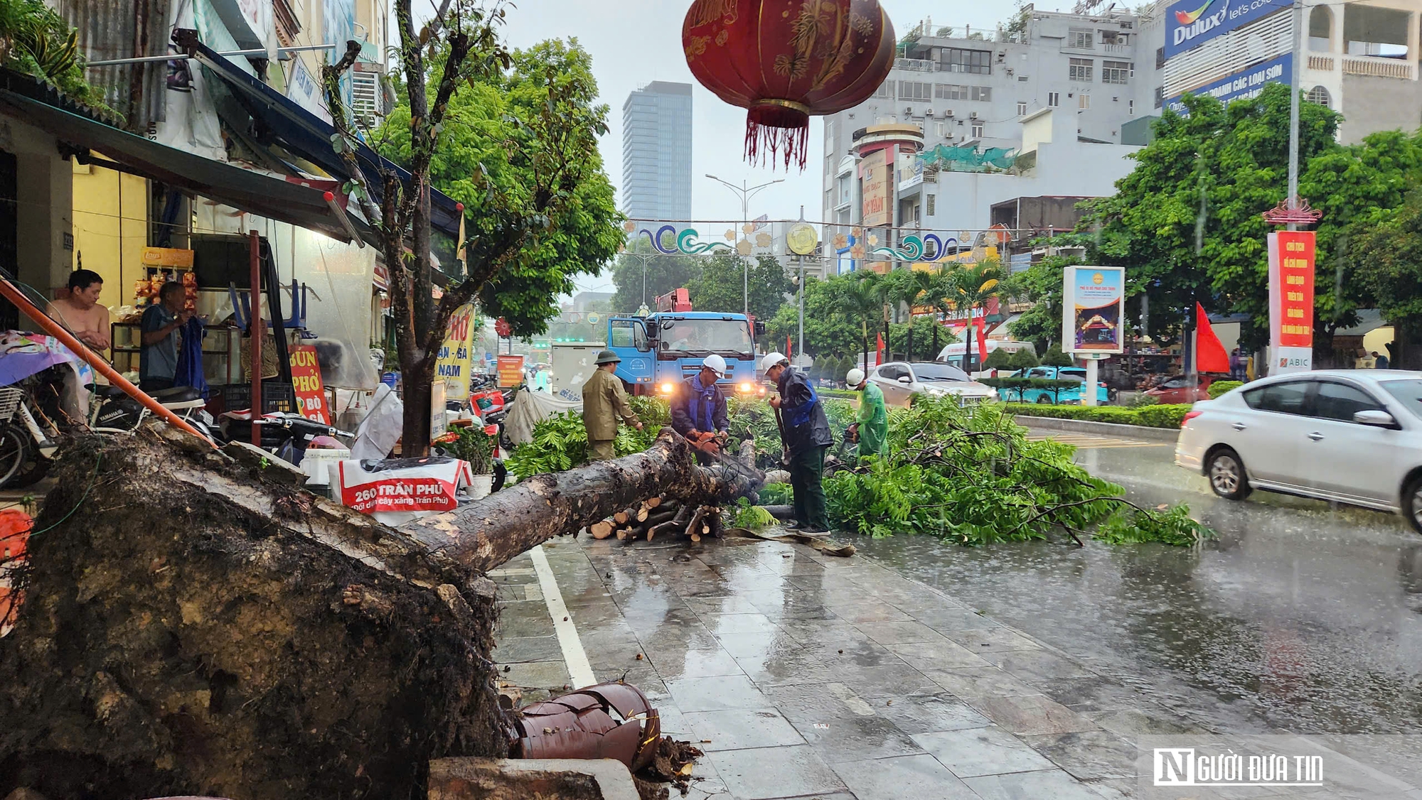 Thanh Hóa: Gió to làm cây gãy đổ, mưa lớn khiến đường ngập cục bộ trước siêu bão Yagi- Ảnh 2.