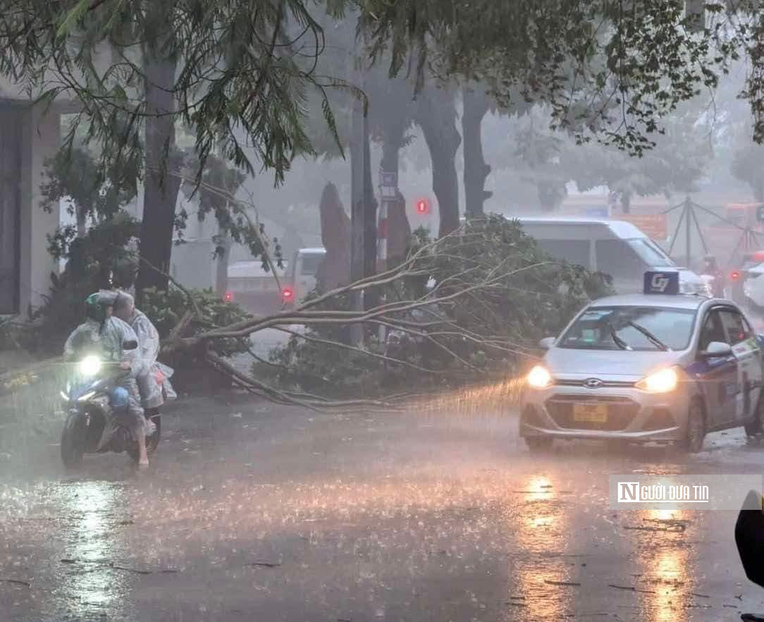 Siêu bão Yagi: Hàng loạt cây ở Hà Nội bật gốc, nhiều tuyến phố ùn tắc kéo dài- Ảnh 1.