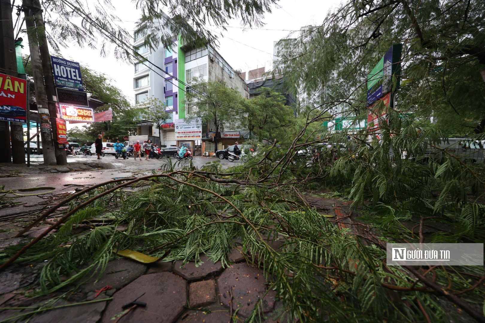 Siêu bão Yagi: Hàng loạt cây ở Hà Nội bật gốc, nhiều tuyến phố ùn tắc kéo dài- Ảnh 8.