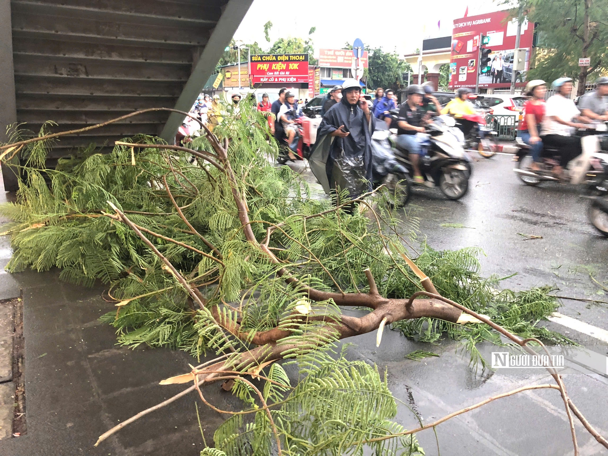 Siêu bão Yagi: Hàng loạt cây ở Hà Nội bật gốc, nhiều tuyến phố ùn tắc kéo dài- Ảnh 11.