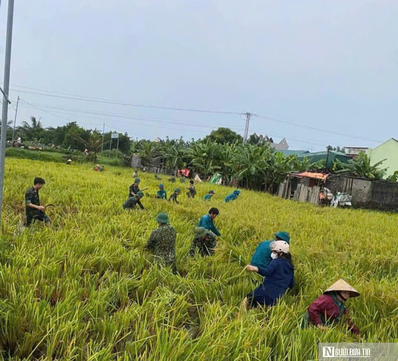 Thanh Hóa: Huy động hơn 17.000 bộ đội, dân quân tự vệ sẵn sàng chống bão- Ảnh 1.