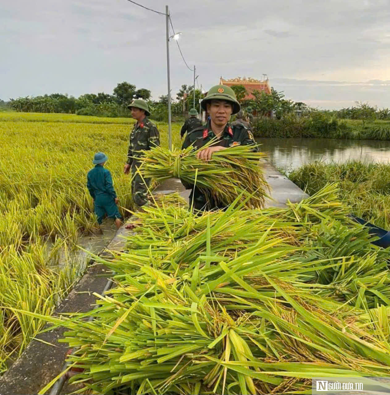 Thanh Hóa: Huy động hơn 17.000 bộ đội, dân quân tự vệ sẵn sàng chống bão- Ảnh 2.