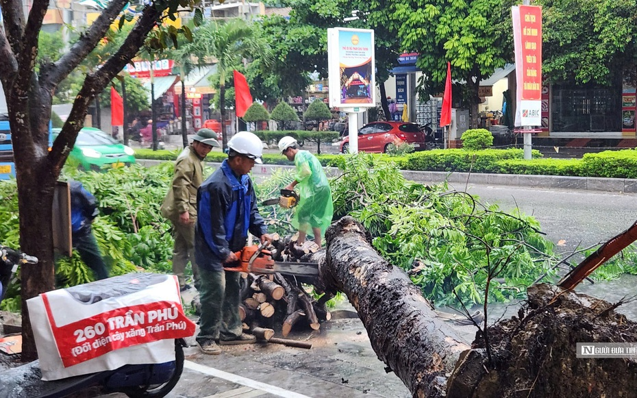 Thành phố Sầm Sơn yên bình sau siêu bão Yagi- Ảnh 14.