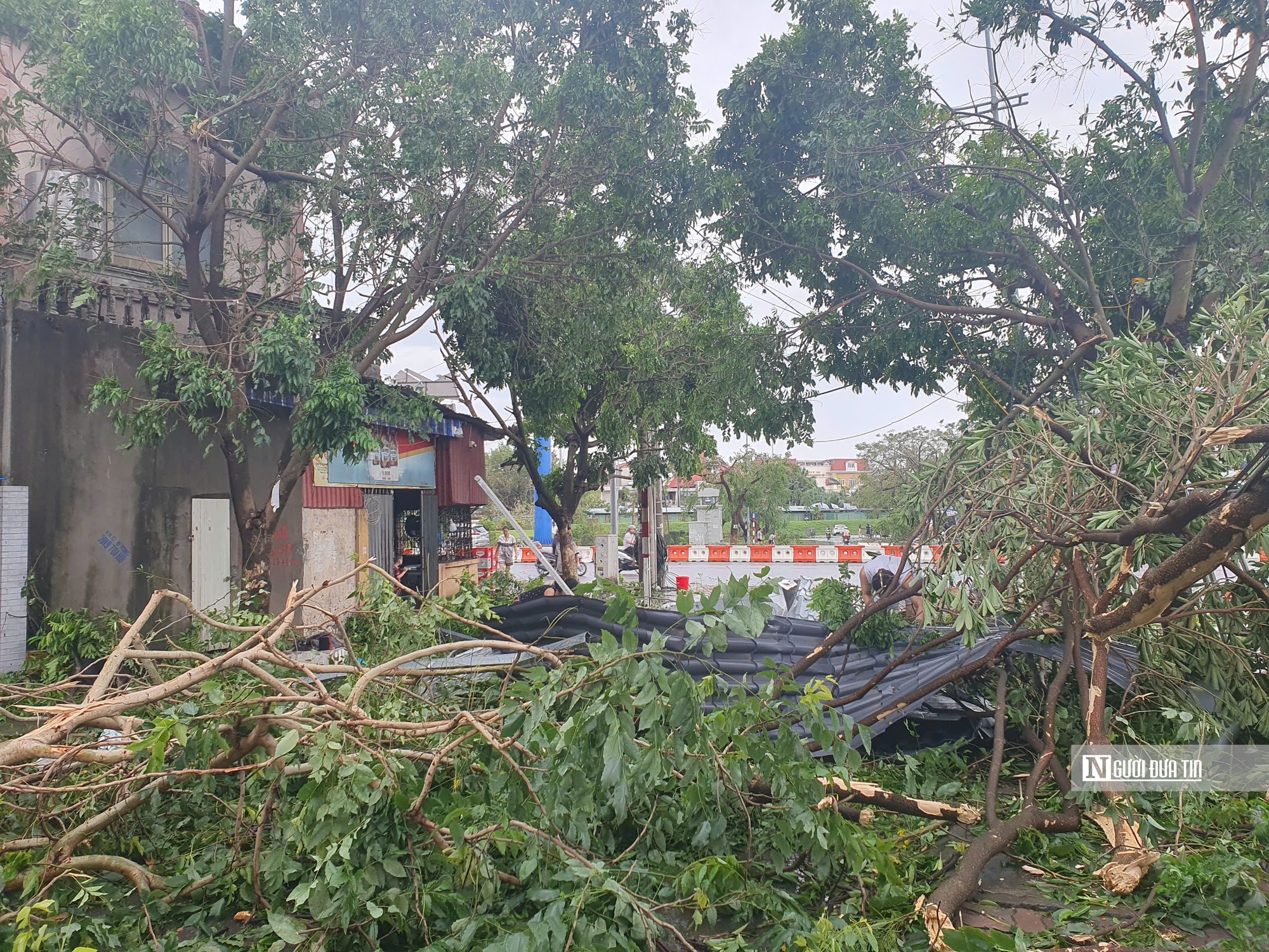 Hải Phòng và Quảng Ninh tan hoang sau bão- Ảnh 4.