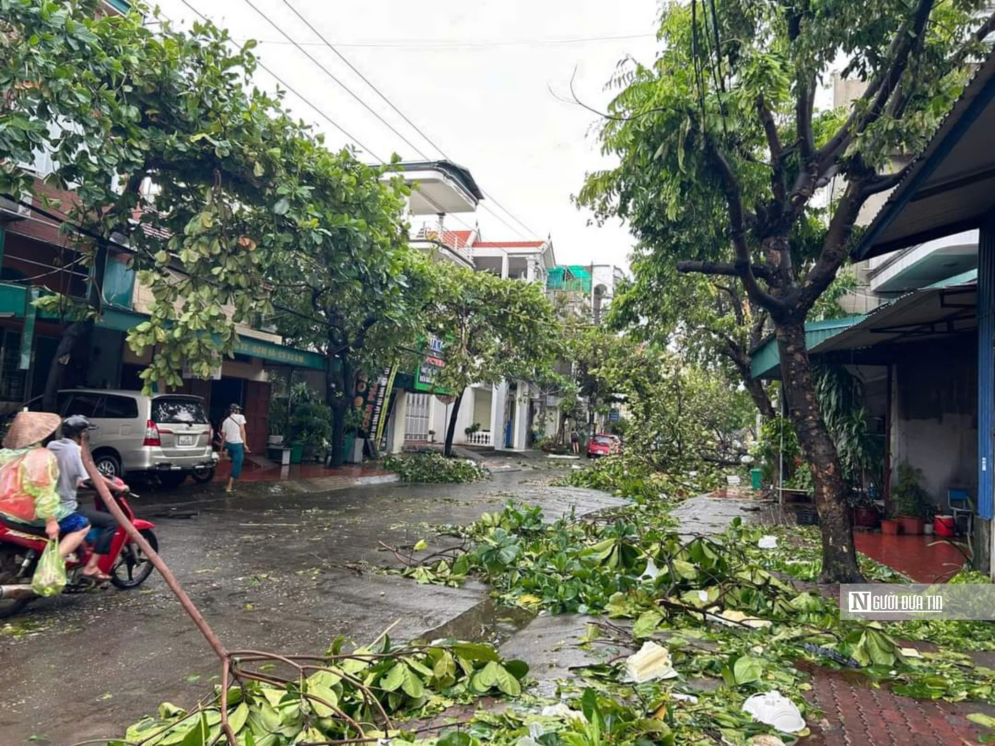 Hải Phòng và Quảng Ninh tan hoang sau bão- Ảnh 10.