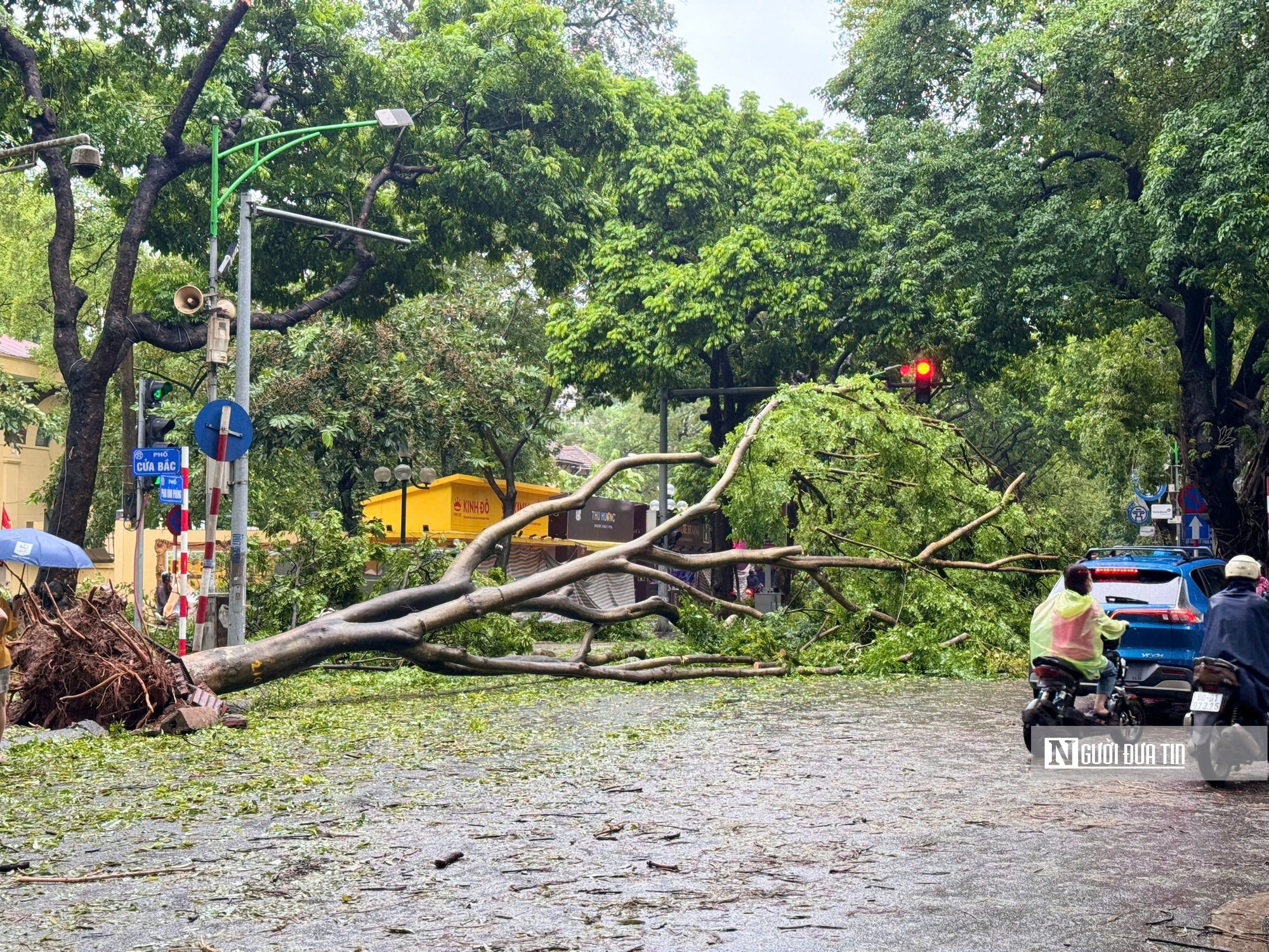 Đường phố tan hoang, Hà Nội tất bật dọn dẹp sau bão- Ảnh 10.