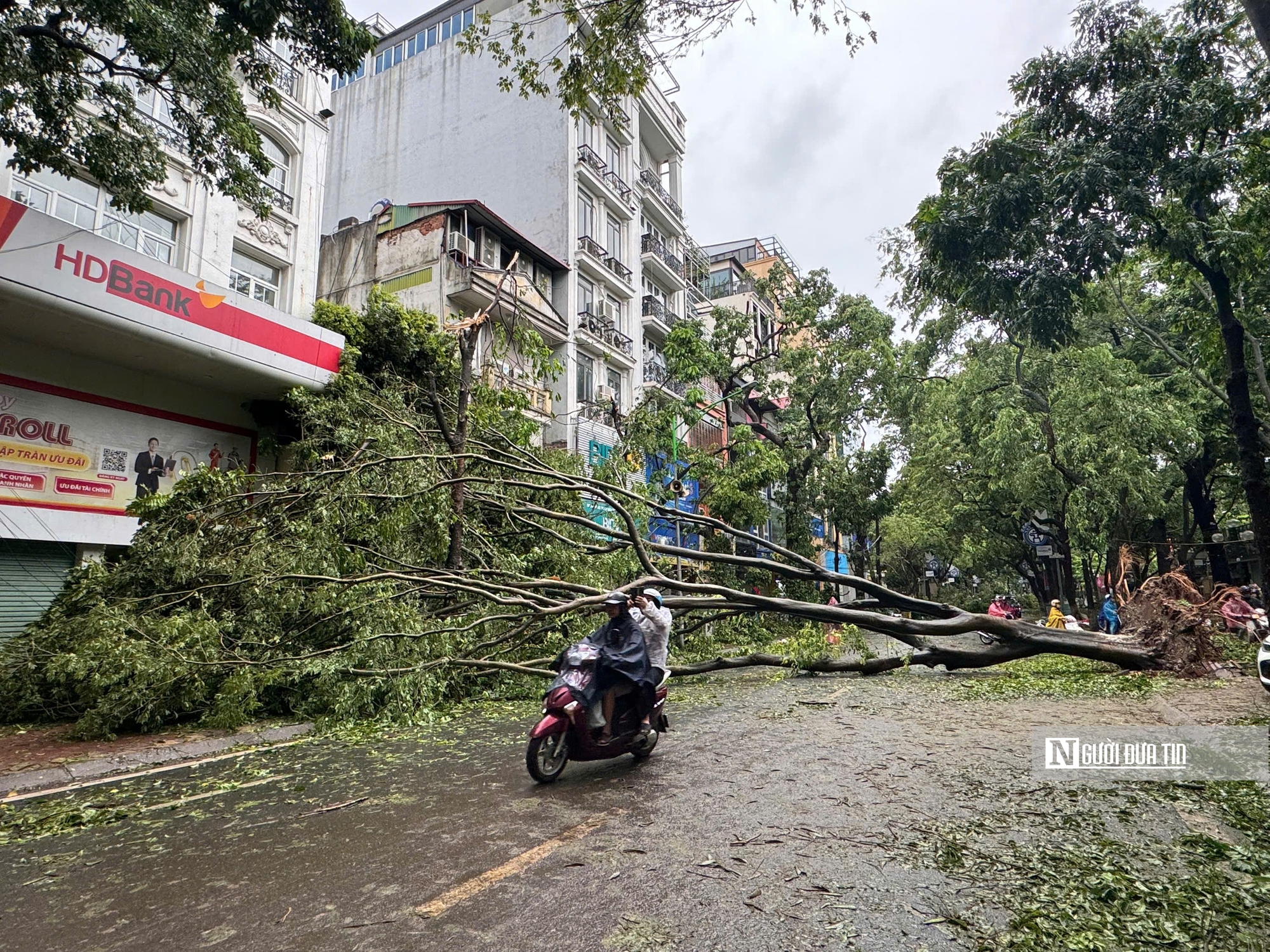 Đường phố tan hoang, Hà Nội tất bật dọn dẹp sau bão- Ảnh 11.