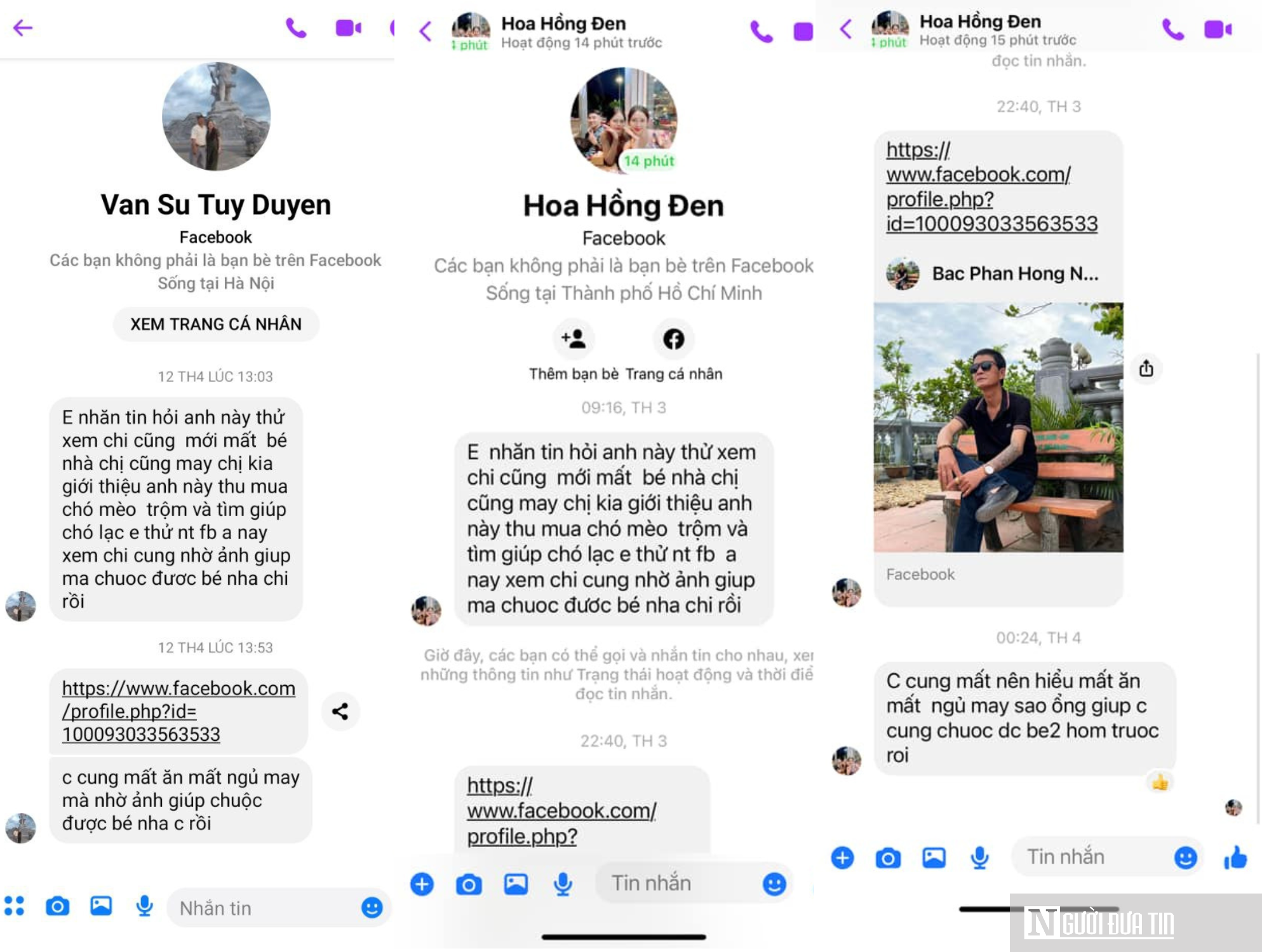 Biến tướng lừa đảo từ các dịch vụ tìm thú cưng trên mạng- Ảnh 5.