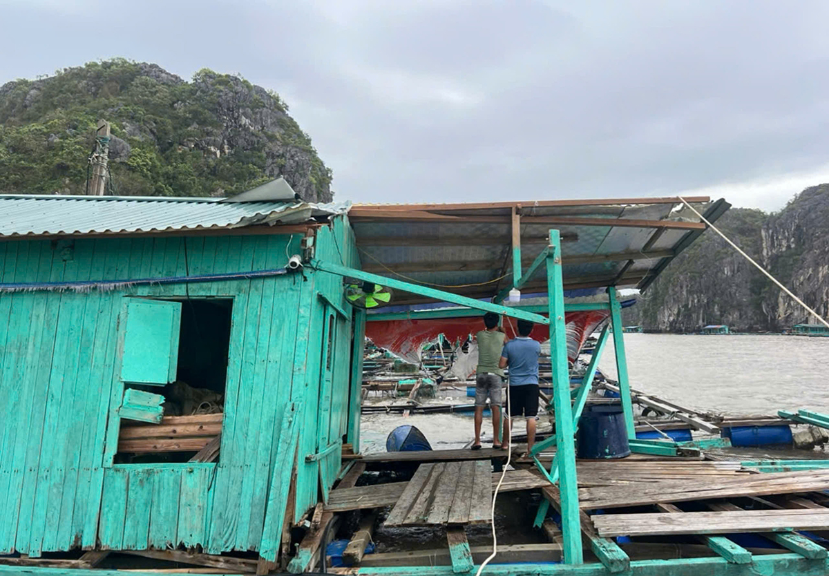 Đoàn tình nguyện viên 150 người giúp Hải Phòng giúp khắc phục hậu quả bão- Ảnh 1.