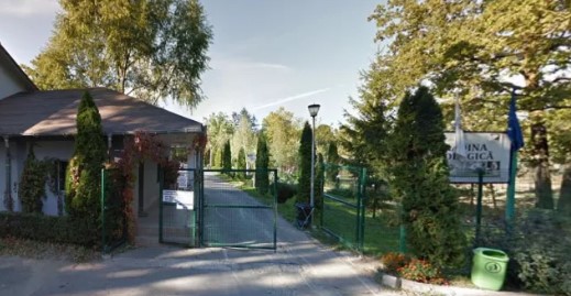 Quên đóng cửa chuồng, nhân viên sở thú bị hồ dữ vồ tử vong- Ảnh 1.