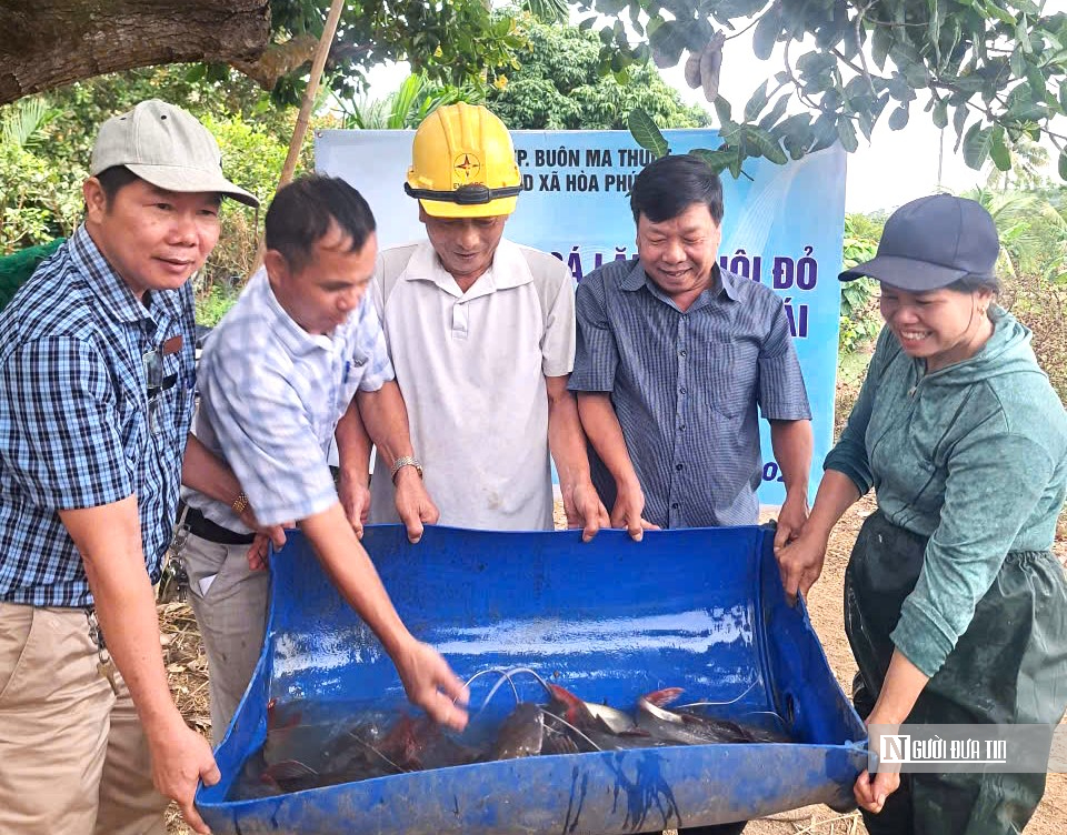 Nông dân đổi đời nhờ thuần hóa “thủy quái” sông Sêrêpôk- Ảnh 3.