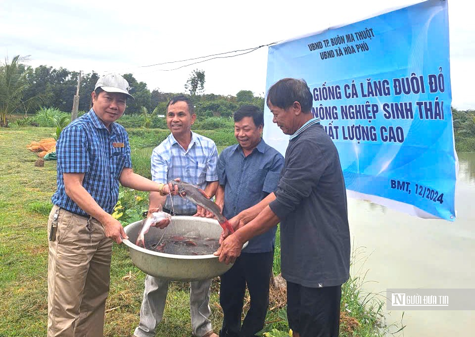 Nông dân đổi đời nhờ thuần hóa “thủy quái” sông Sêrêpôk- Ảnh 11.