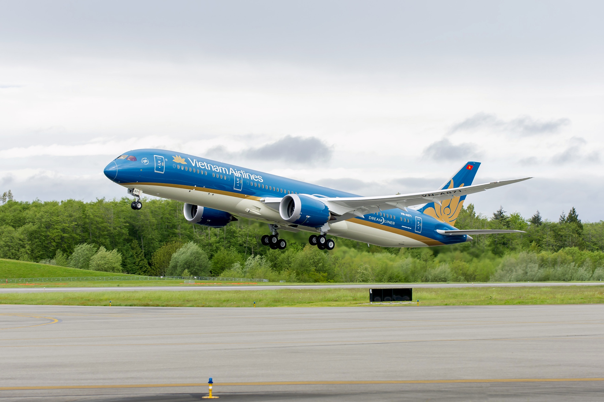 Vietnam Airlines chuyển hướng hạ cánh Đà Nẵng cấp cứu hành khách- Ảnh 1.