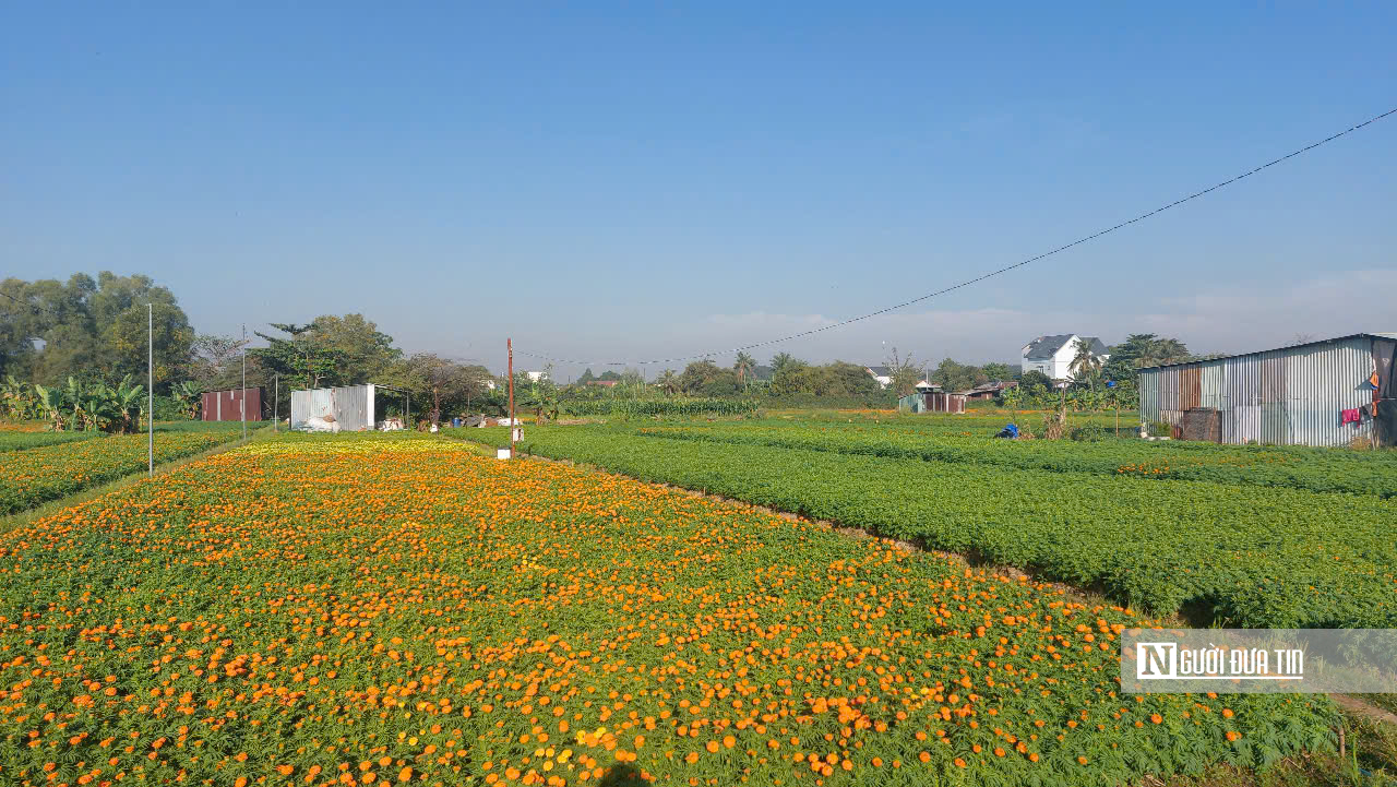 Làng hoa Tân Ba có vị trí khá thuận lợi khi nằm giáp ranh giữa Đồng Nai và Bình Dương, từ Tp.HCM trên tuyến quốc lộ 1K (hướng về Đồng Nai), khi đi chuyển tới cầu Hóa An rẽ trái sẽ tới được làng hoa này. Một trong những địa điểm checkin thú vị và trải nghiệm trong dịp cuối năm.