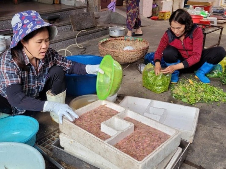 Từng có giá lên tới nửa triệu đồng/kg, “đặc sản trời cho” bất ngờ rẻ chưa từng có