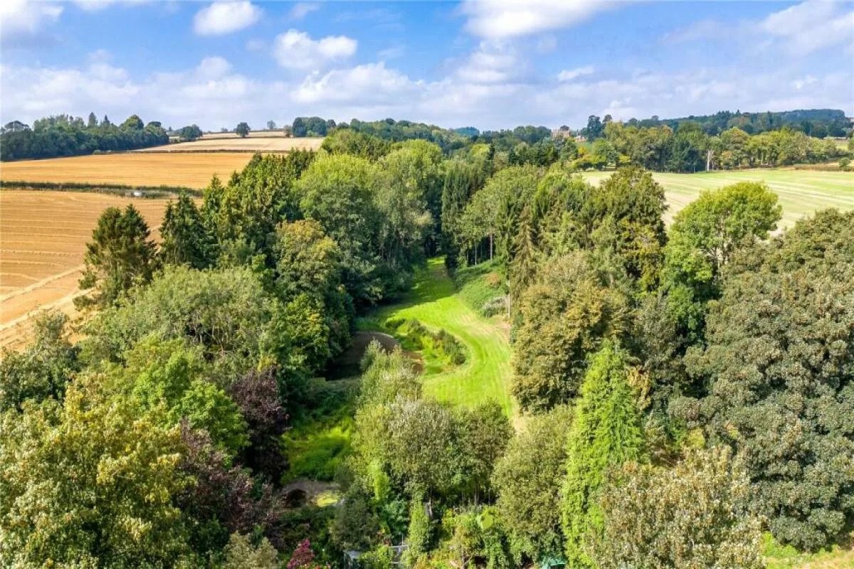 Khu rừng Cannon Hill Woods ở Dorset, nơi phát hiện người đàn ông bí ẩn gần đây. (Ảnh: NQ) Khu rừng Cannon Hill Woods ở Dorset, nơi phát hiện người đàn ông bí ẩn gần đây. (Ảnh: NQ)