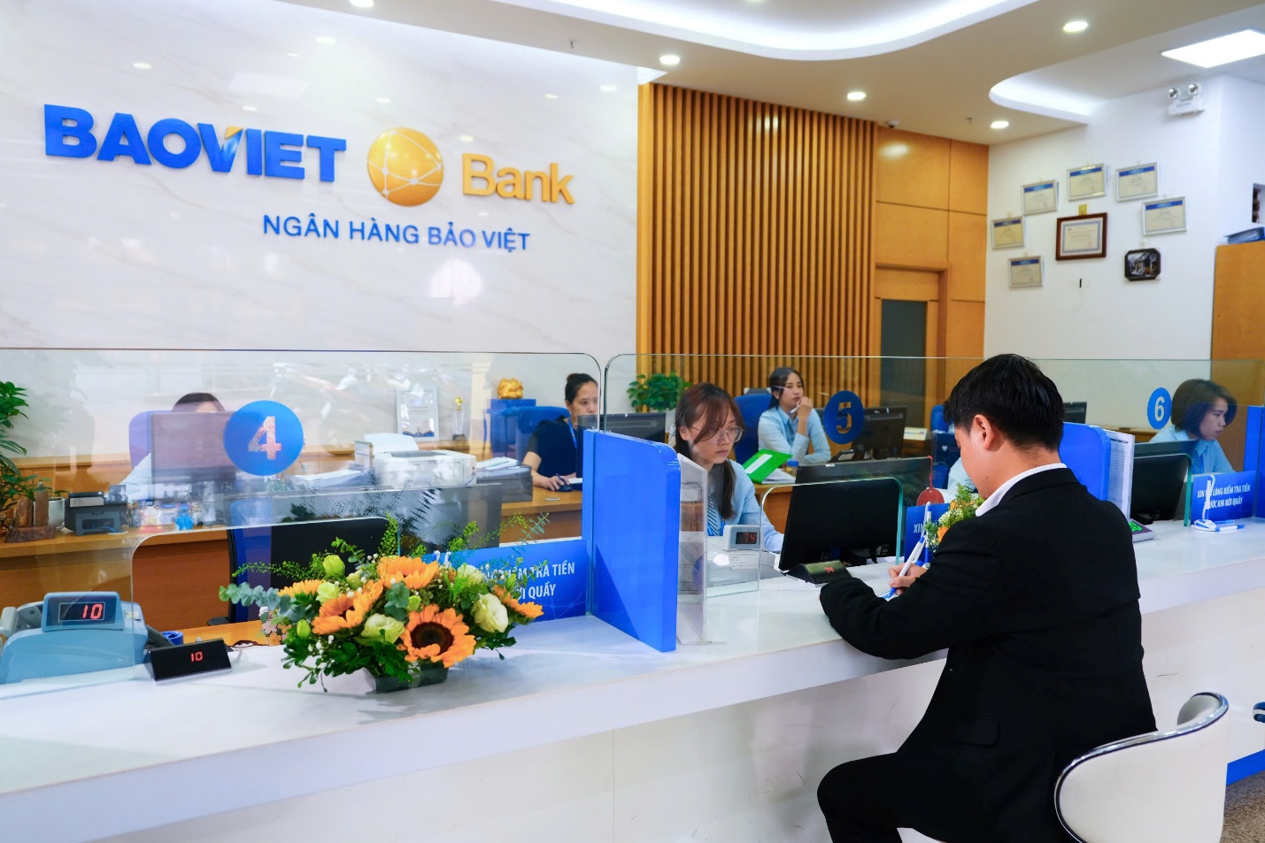 BAOVIET Bank 2024: Tăng trưởng ổn định, đẩy mạnh chuyển đổi số hướng tới phát triển bền vững- Ảnh 1.