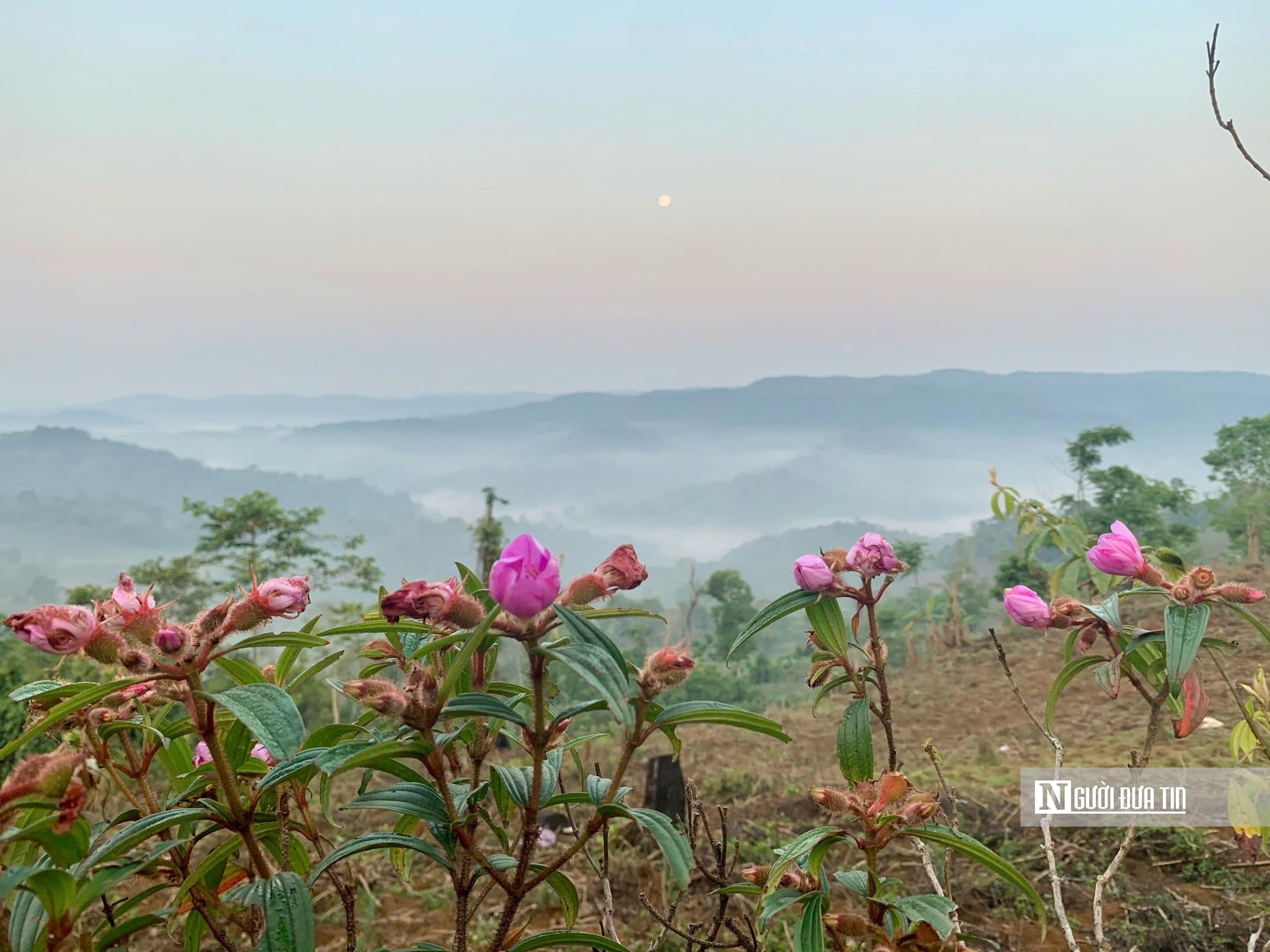 Chàng dược sĩ bỏ phố về quê, kiếm thu nhập khủng từ mô hình khởi nghiệp độc đáo- Ảnh 6.