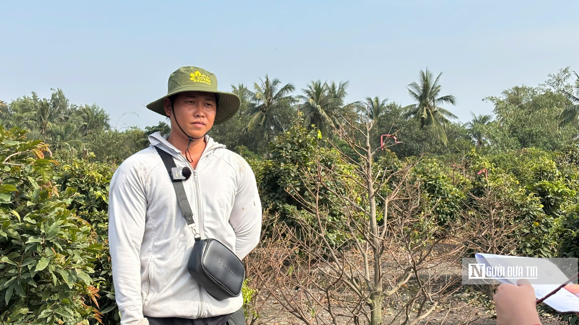 "Mỏ vàng" ngày Tết của nông dân làng mai Bình Lợi- Ảnh 4.