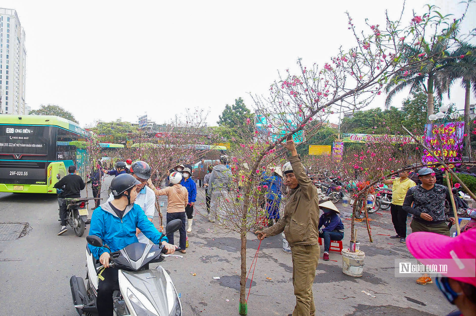 Chợ hoa Tết Tây Hồ nhộn nhịp ngày cận Tết- Ảnh 4.