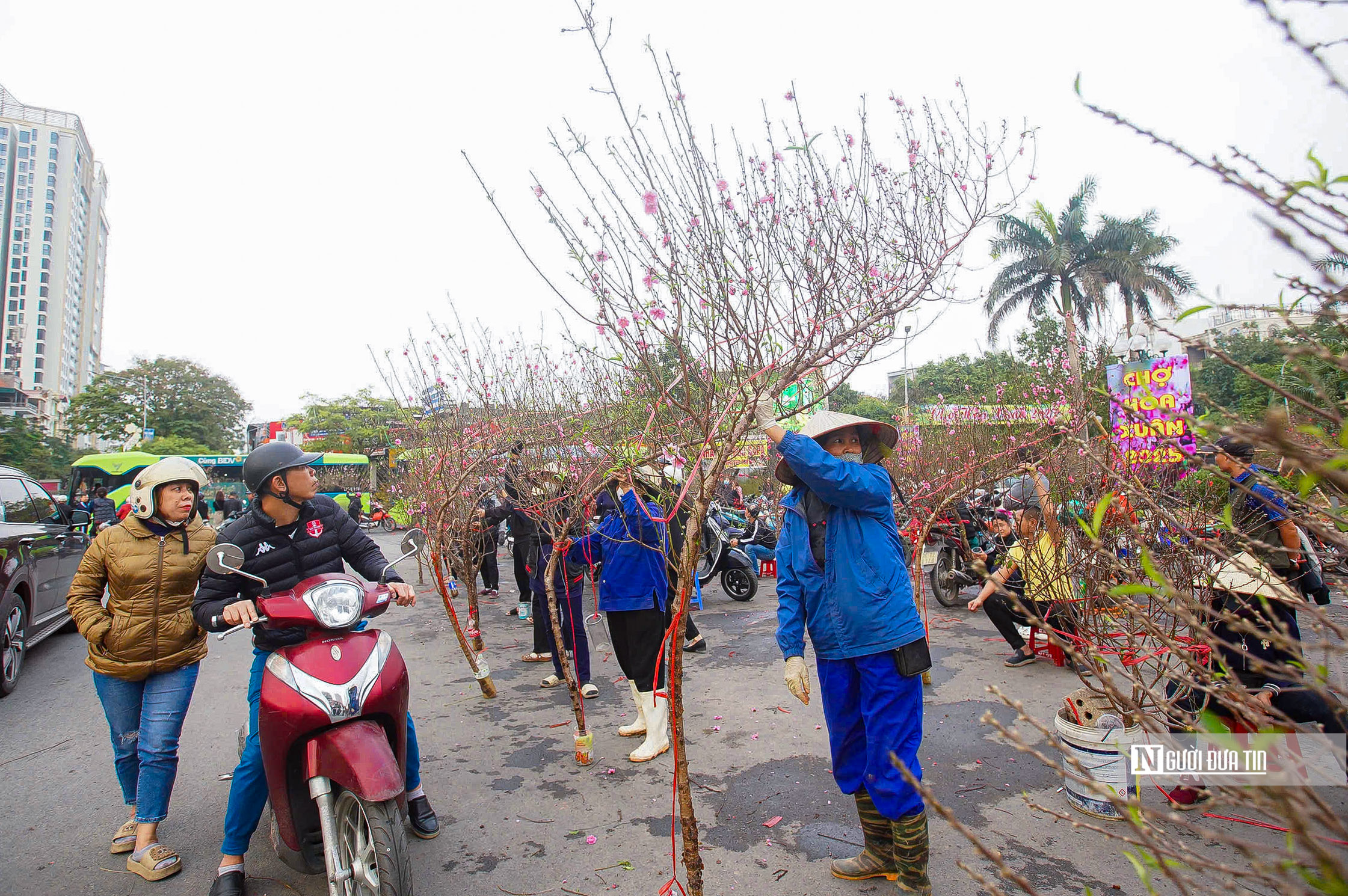 Chợ hoa Tết Tây Hồ nhộn nhịp ngày cận Tết- Ảnh 3.