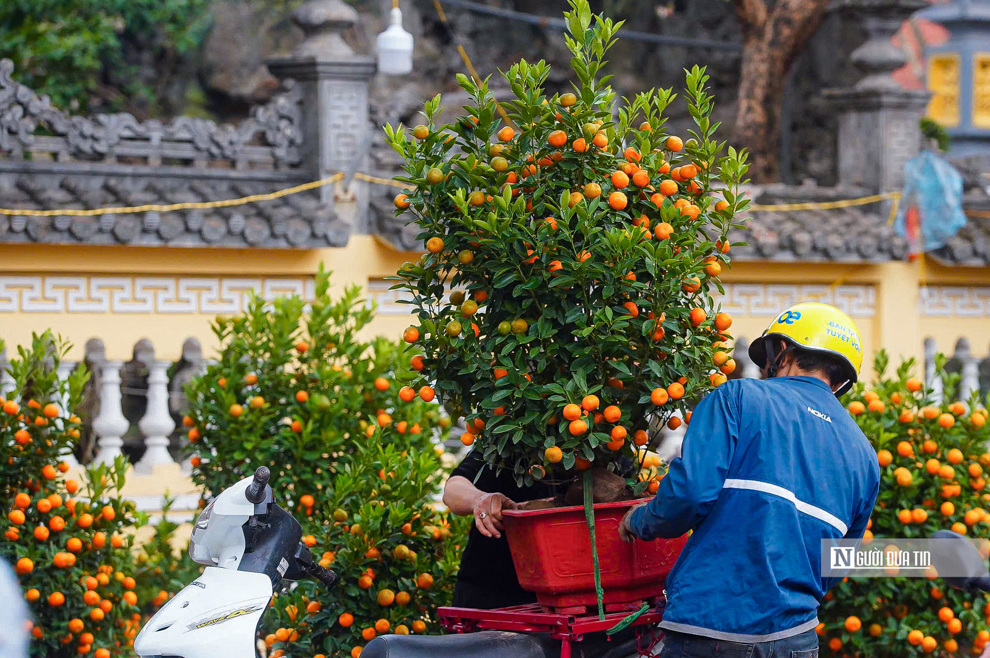 Chợ hoa Tết Tây Hồ nhộn nhịp ngày cận Tết- Ảnh 11.