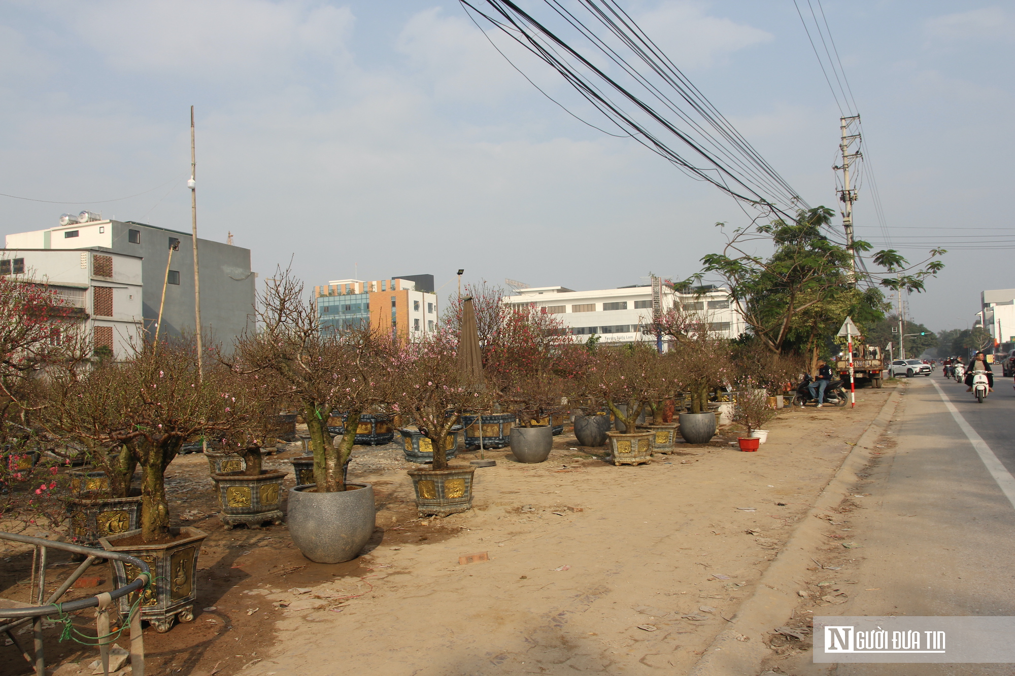 Hoa Tết tràn ngập, tiểu thương Nghệ An như ngồi trên đống lửa vì sức mua chậm- Ảnh 1.