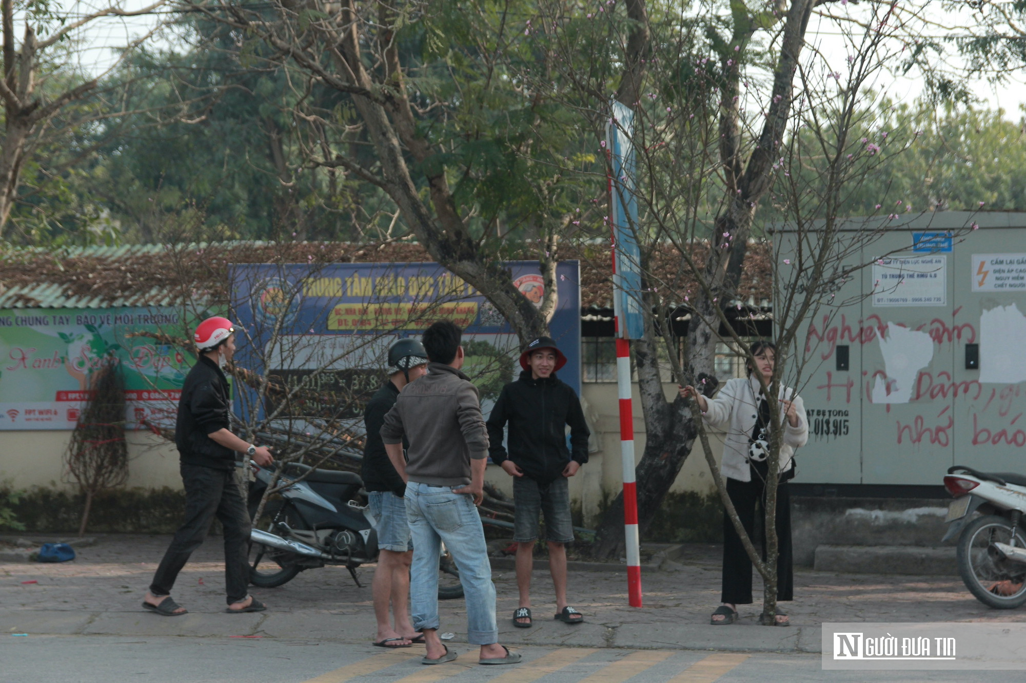 Hoa Tết tràn ngập, tiểu thương Nghệ An như ngồi trên đống lửa vì sức mua chậm- Ảnh 4.