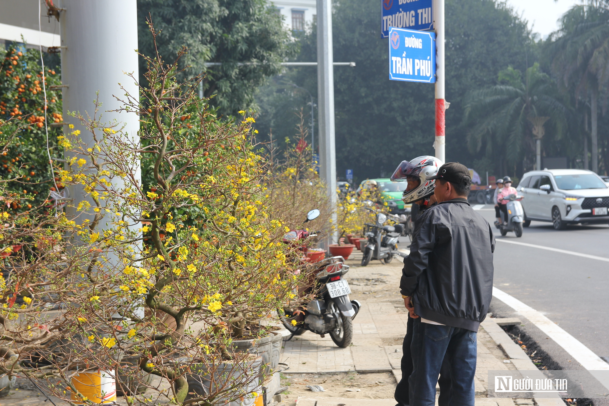 Hoa Tết tràn ngập, tiểu thương Nghệ An như ngồi trên đống lửa vì sức mua chậm- Ảnh 5.