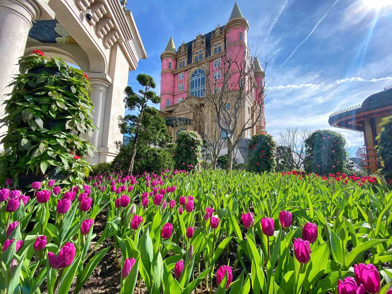 Sun World Ba Na Hills hứa hẹn hút khách dịp Tết Ất Tỵ với lễ hội hoa 2025- Ảnh 1.