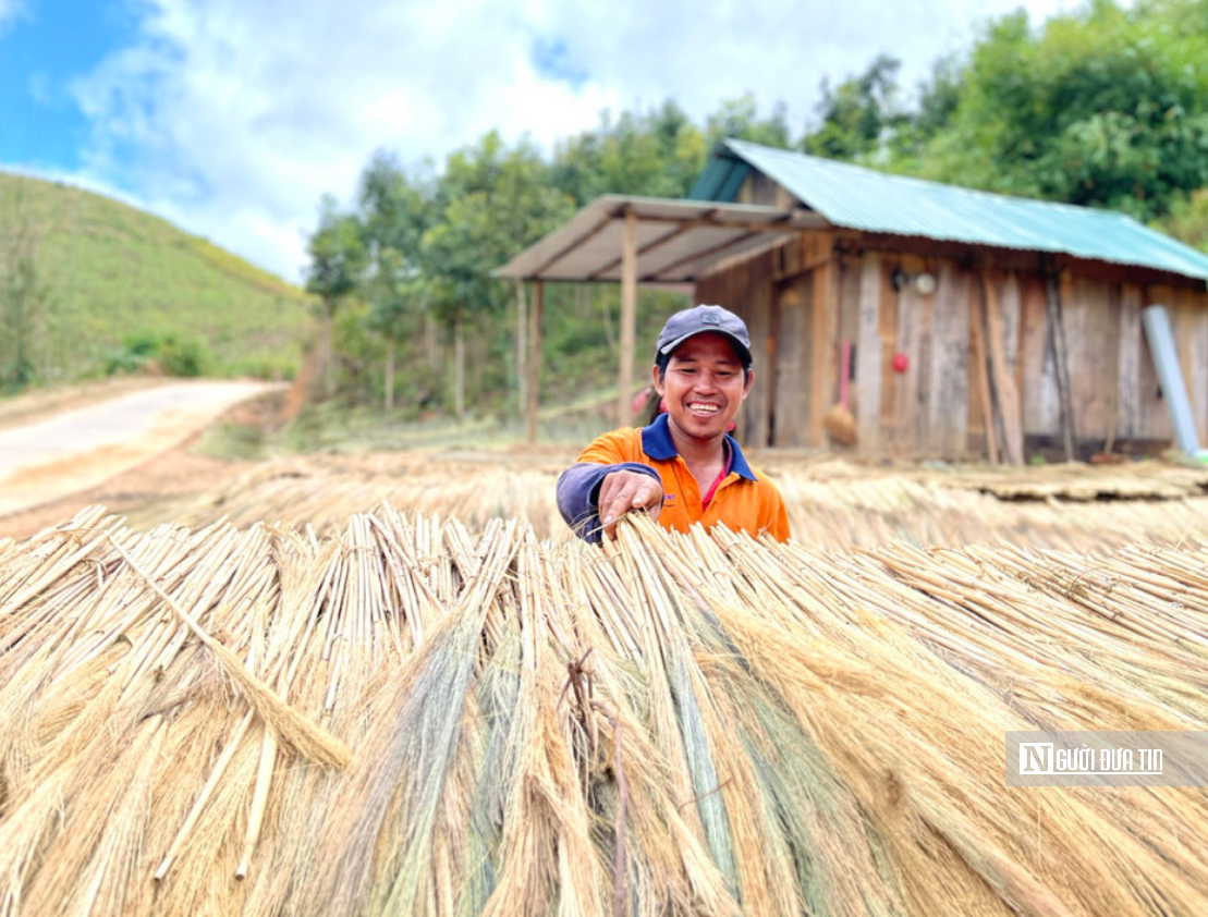 Lên núi săn “lộc trời” ngày giáp Tết- Ảnh 4.