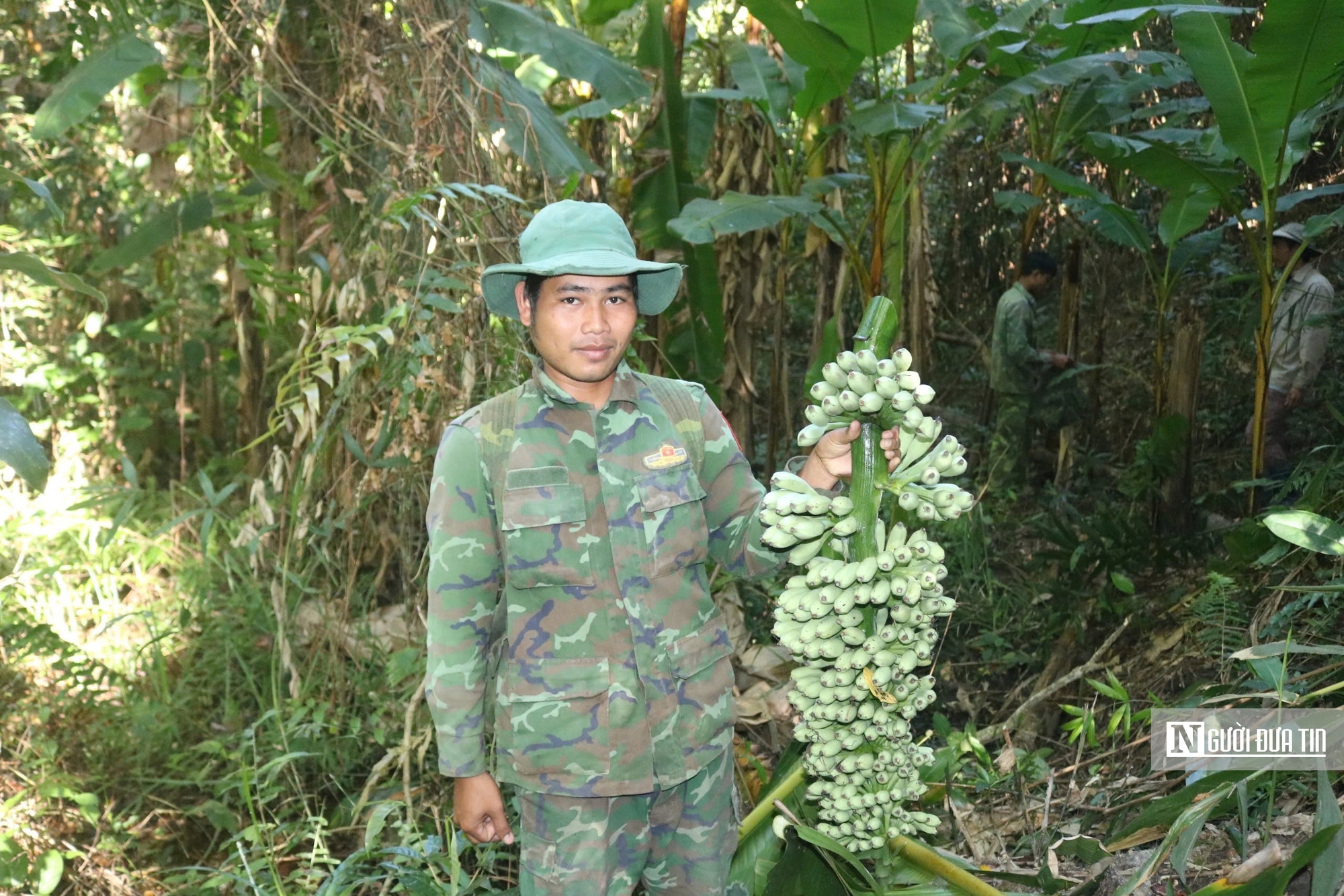 Lên núi săn “lộc trời” ngày giáp Tết- Ảnh 5.