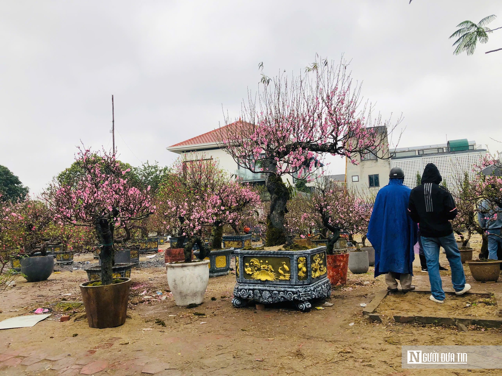 Nghệ An: Gió mùa đông bắc tràn về, nhiều tiểu thương treo biển “xả hàng”- Ảnh 3.