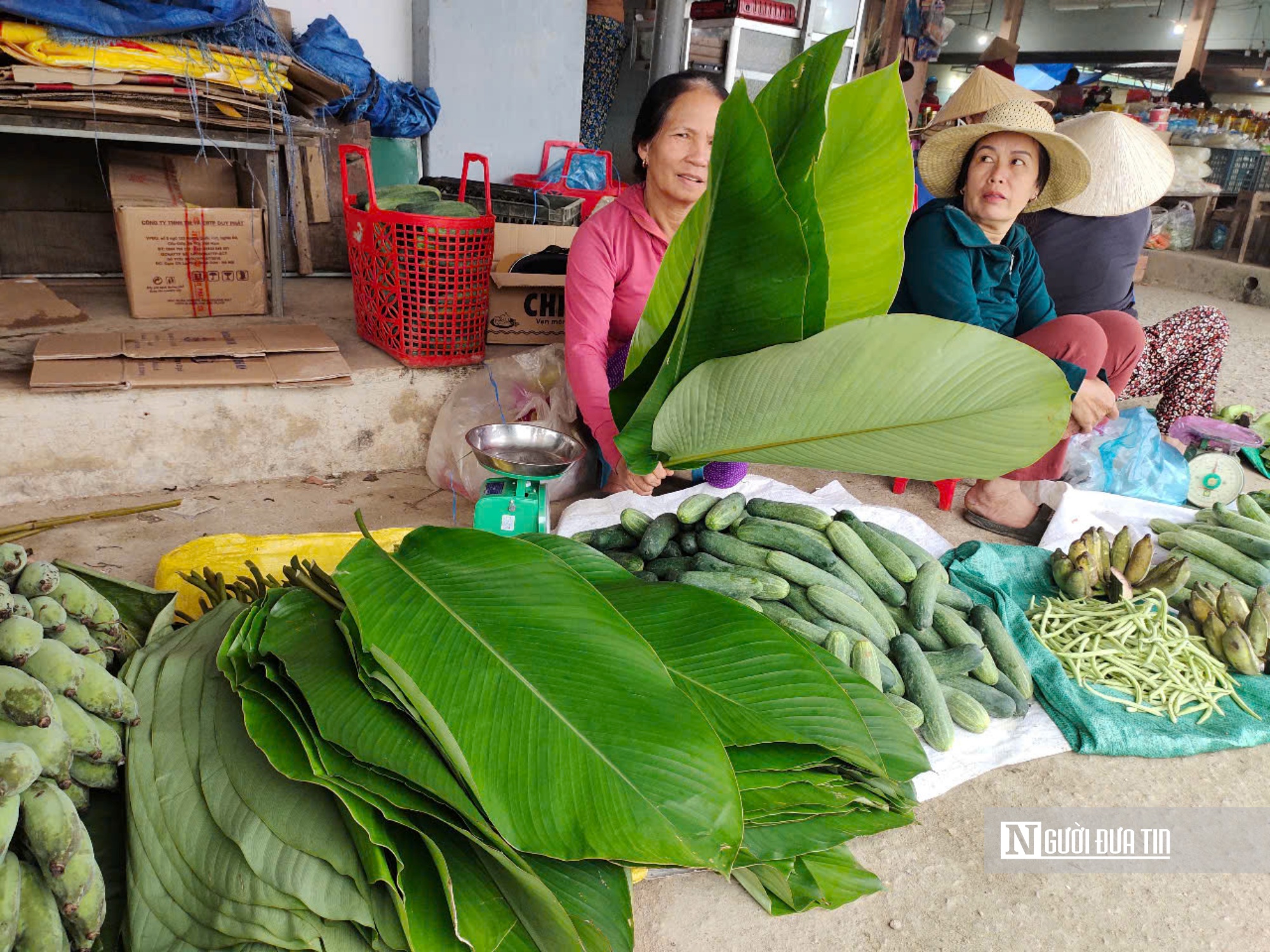 Lá dong rừng được bán ở các chợ huyện tại Bình Định. Ảnh: Diệp Thị Diệu