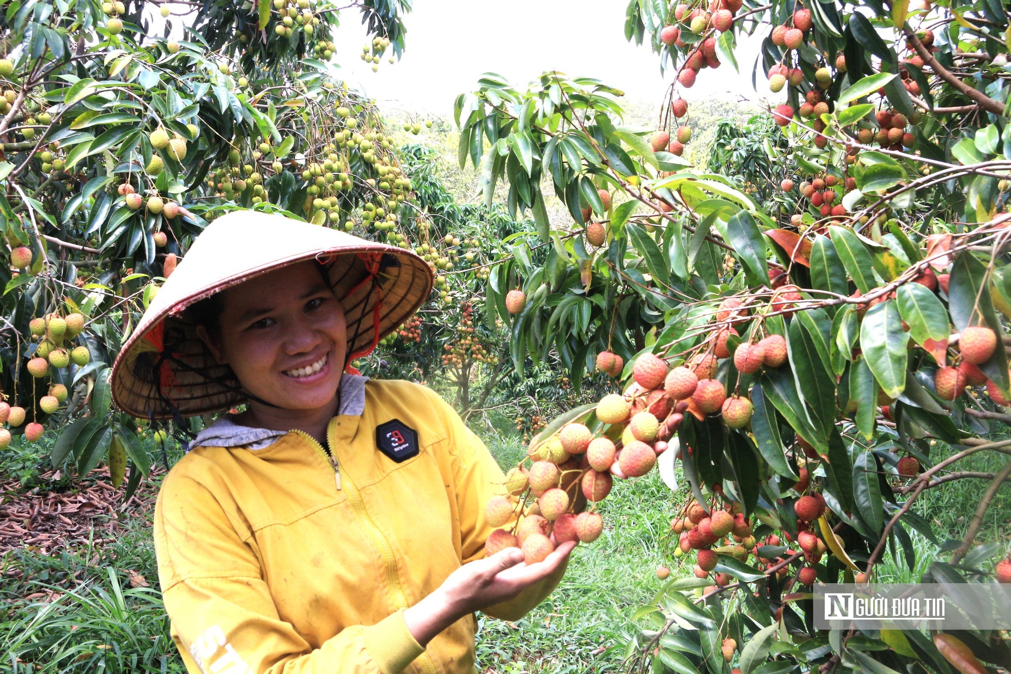 Đắk Nông khẳng định chiến lược nông nghiệp công nghệ cao là bước đột phá- Ảnh 1.