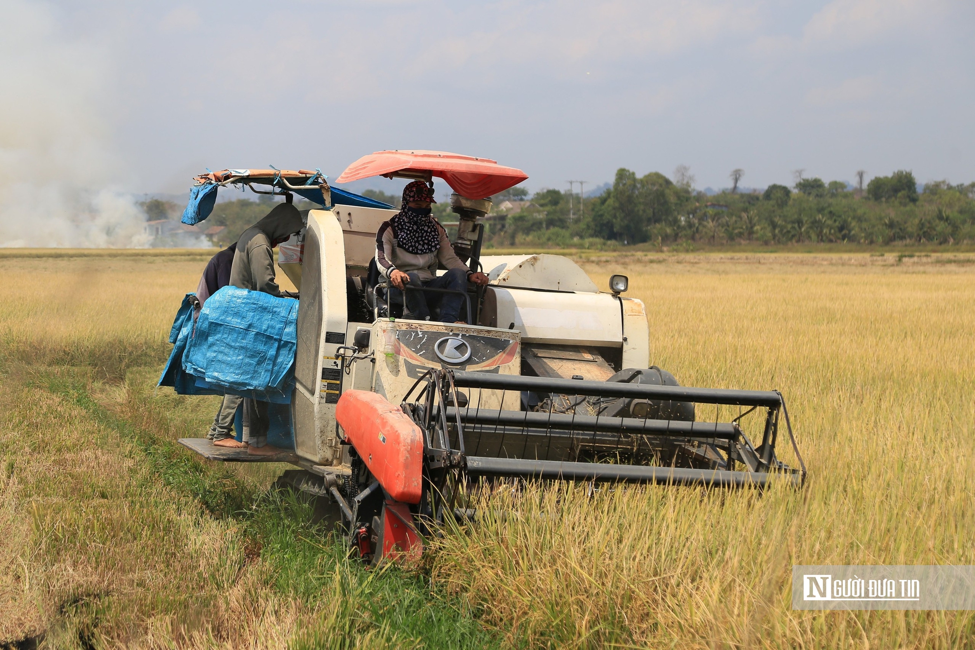 Đắk Nông khẳng định chiến lược nông nghiệp công nghệ cao là bước đột phá- Ảnh 5.