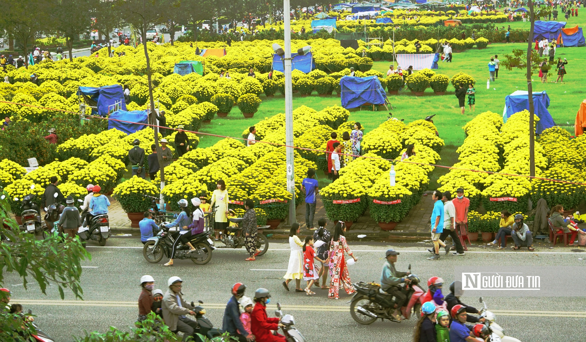 Nhộn nhịp chợ hoa xuân ở Quy Nhơn. Ảnh: HK