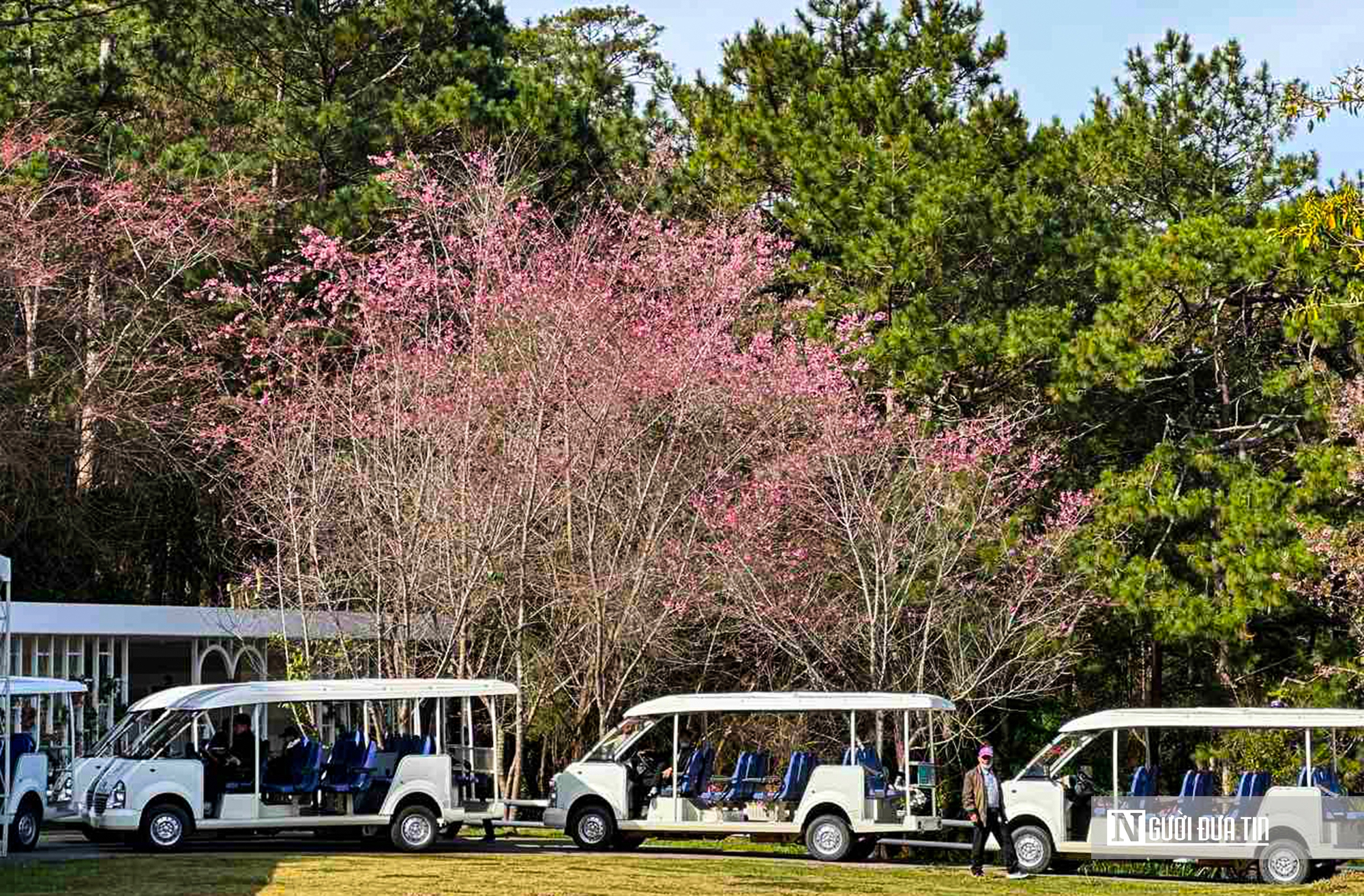 Đầu năm mới, lượng du khách đến Tp.Đà Lạt du xuân tăng vọt- Ảnh 3.