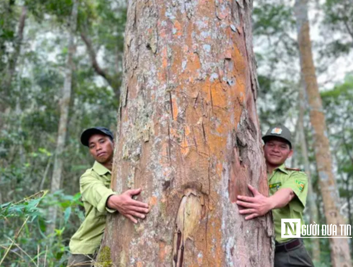 "Kho báu" độc nhất vô nhị giữa đại ngàn Tây Nguyên- Ảnh 2.