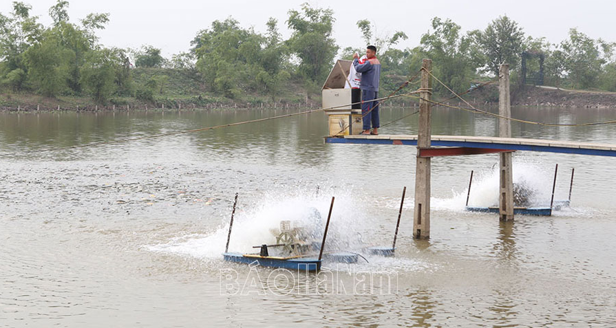 Sức sống mới cho ngành nuôi thủy sản ven sông Hồng sau cơn bão lũ- Ảnh 1.