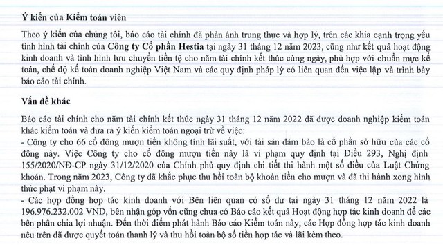 Hestia bị xử lý thuế gần 230 triệu đồng- Ảnh 1.