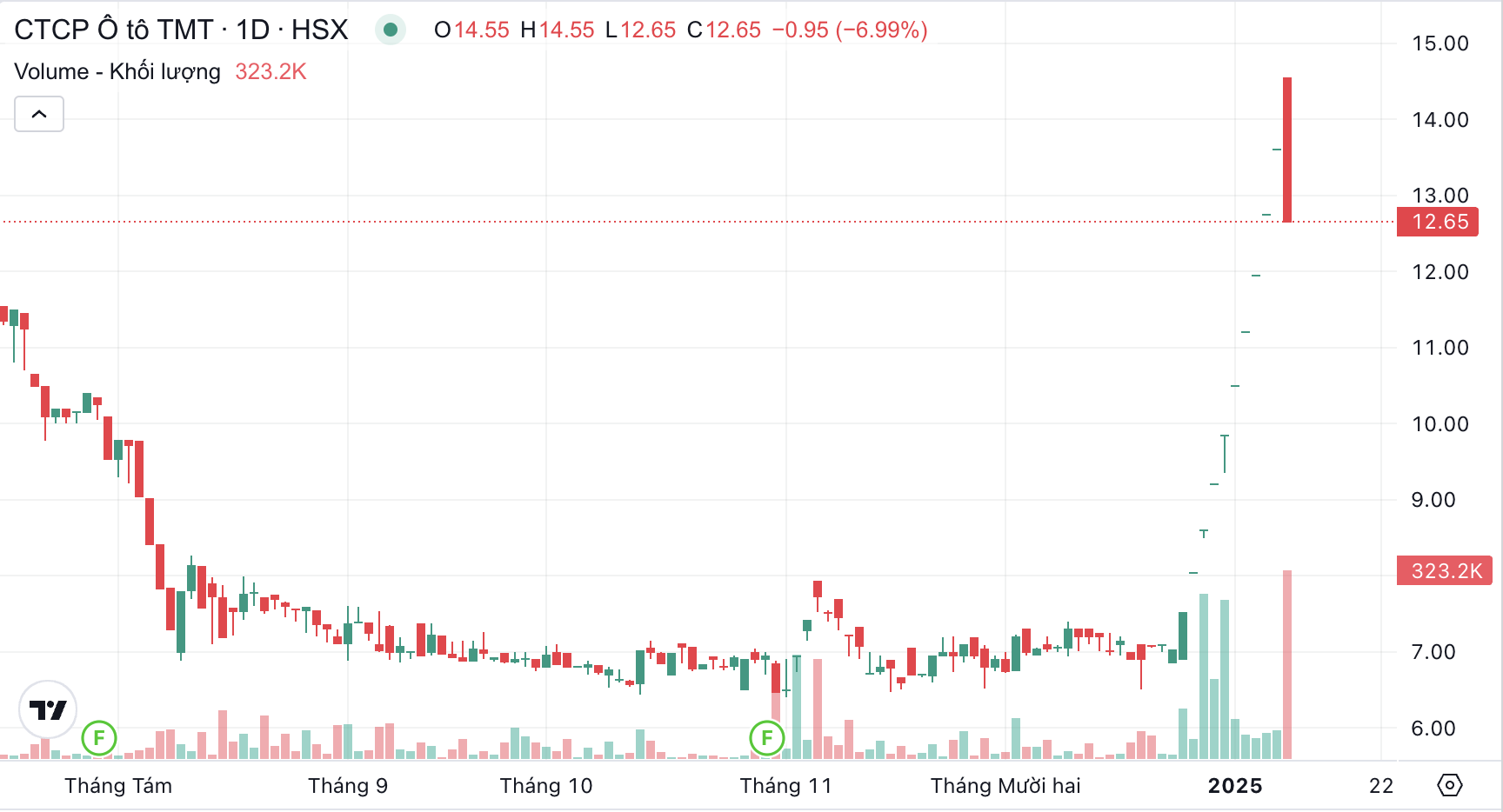 Cổ phiếu TMT nằm sàn sau 10 phiên tăng trần liên tiếp- Ảnh 1.
