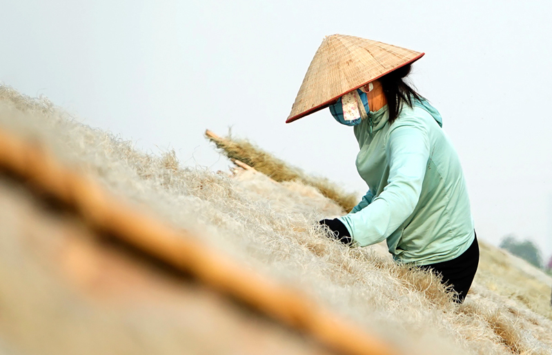 Miến dong làng So "chạy đua" đón Tết, sản lượng gần 100 tấn/tháng- Ảnh 2.